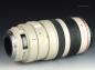 Preview: Canon EF 100-400mm f/4.5-5.6 L IS USM