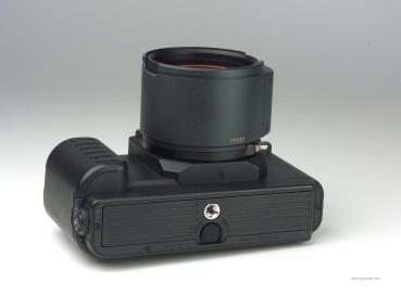Canon T80 + Canon AC 50mm f/1.8