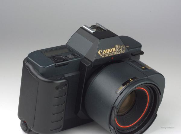 Canon T80 + Canon AC 50mm f/1.8