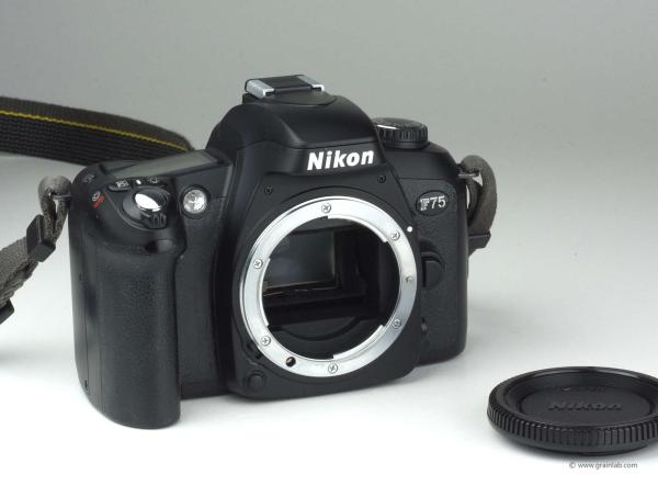 Nikon F75