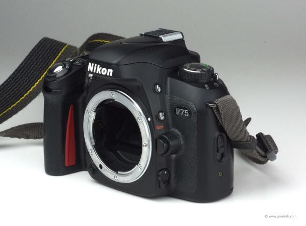 Nikon F75